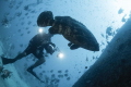   diver photographs giant grouper school fishes behind. behind  